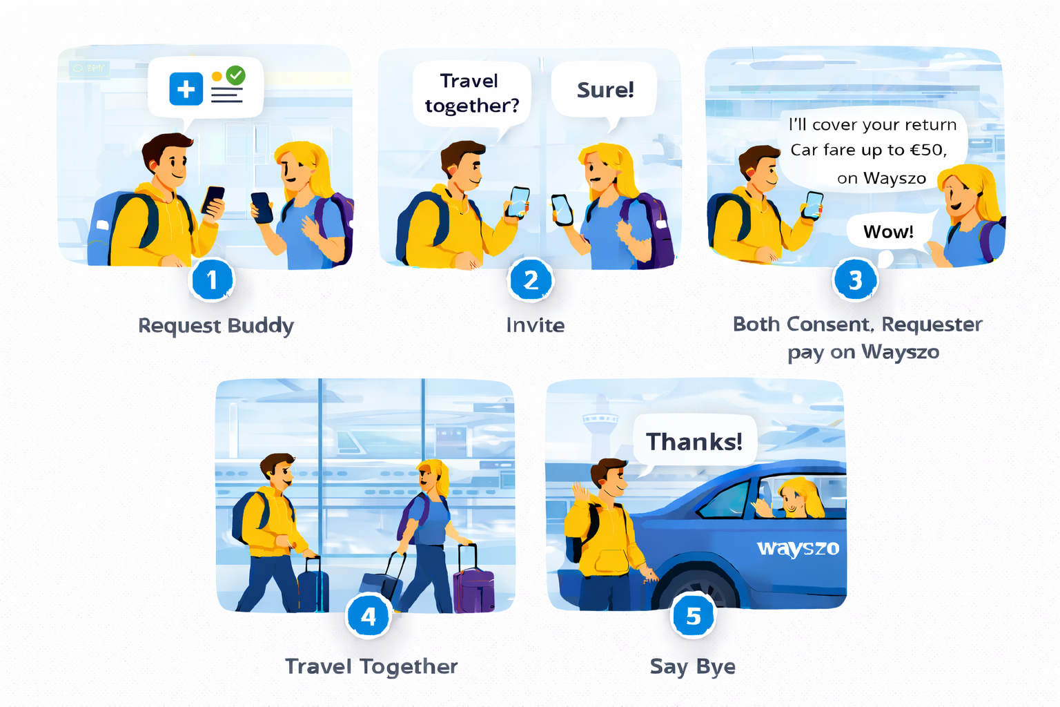 Companion Only flow illustration
